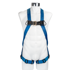 Arnes económico A1EP